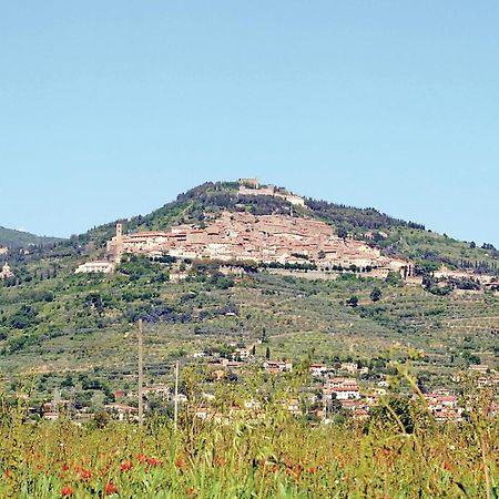 Il Marinocchio Di Malatesti Arezzo Exteriör bild